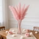 thumbnail image 1 of Paquete de 8 Tallos de Hierba Pampas Falsa con Jarrón, 32cm Ramas Florales Boho en Rosa y Blanco para Centro de Mesa de Boda, Decoración para Fiesta de Casa de Campo, 1 of 6