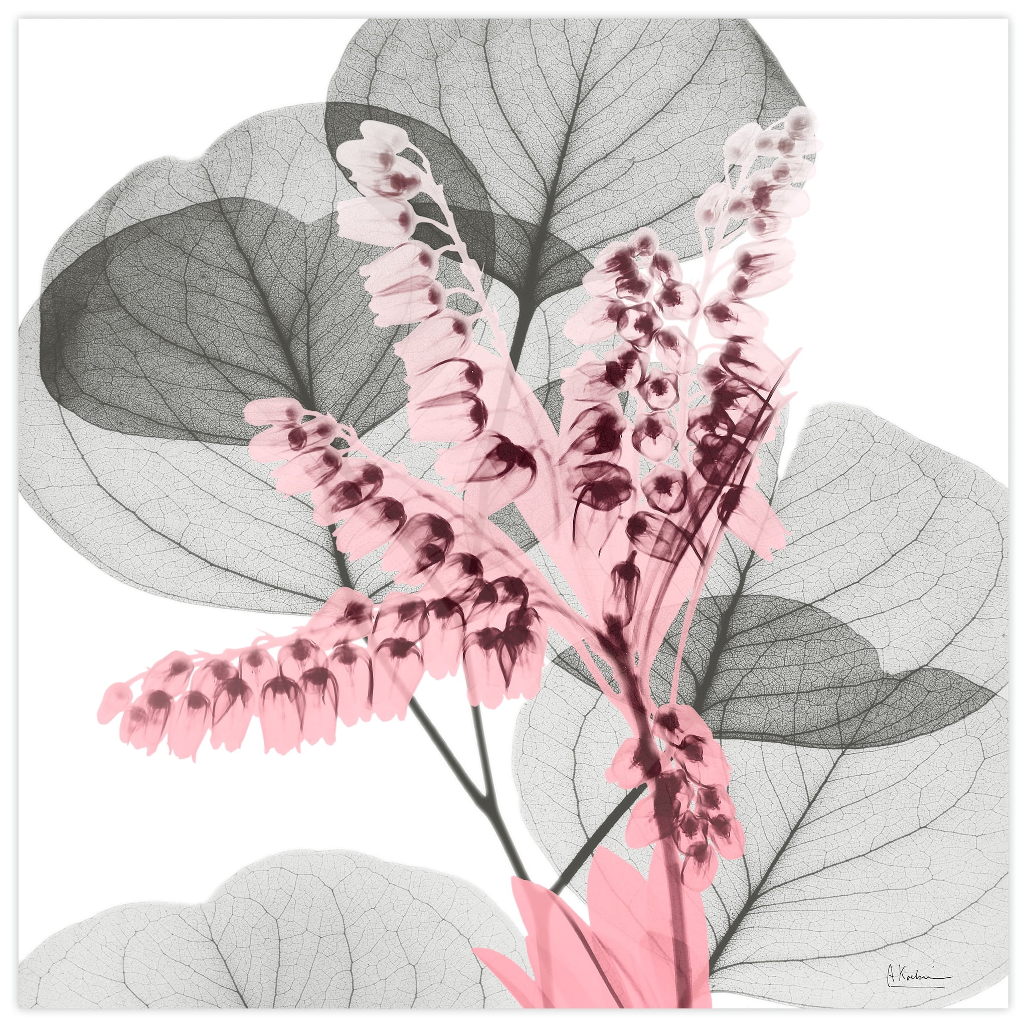 Eucalyptus Bush 24 in x 24 in Painting Art Prints, by Empire Art