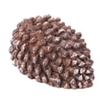 thumbnail image 6 of Pine Cone Safe Stash Box with Compartment Private Money Secret Storage Device Cash Container with Concealed Space, 6 of 7