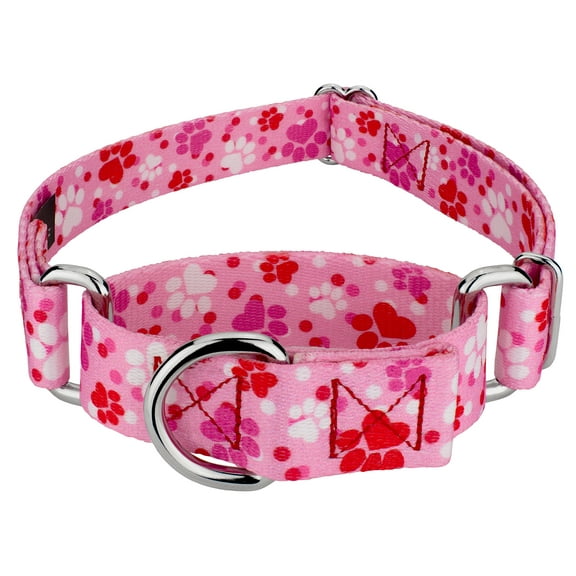 Country Brook Petz® Puppy Love Martingale Dog Collar, Large