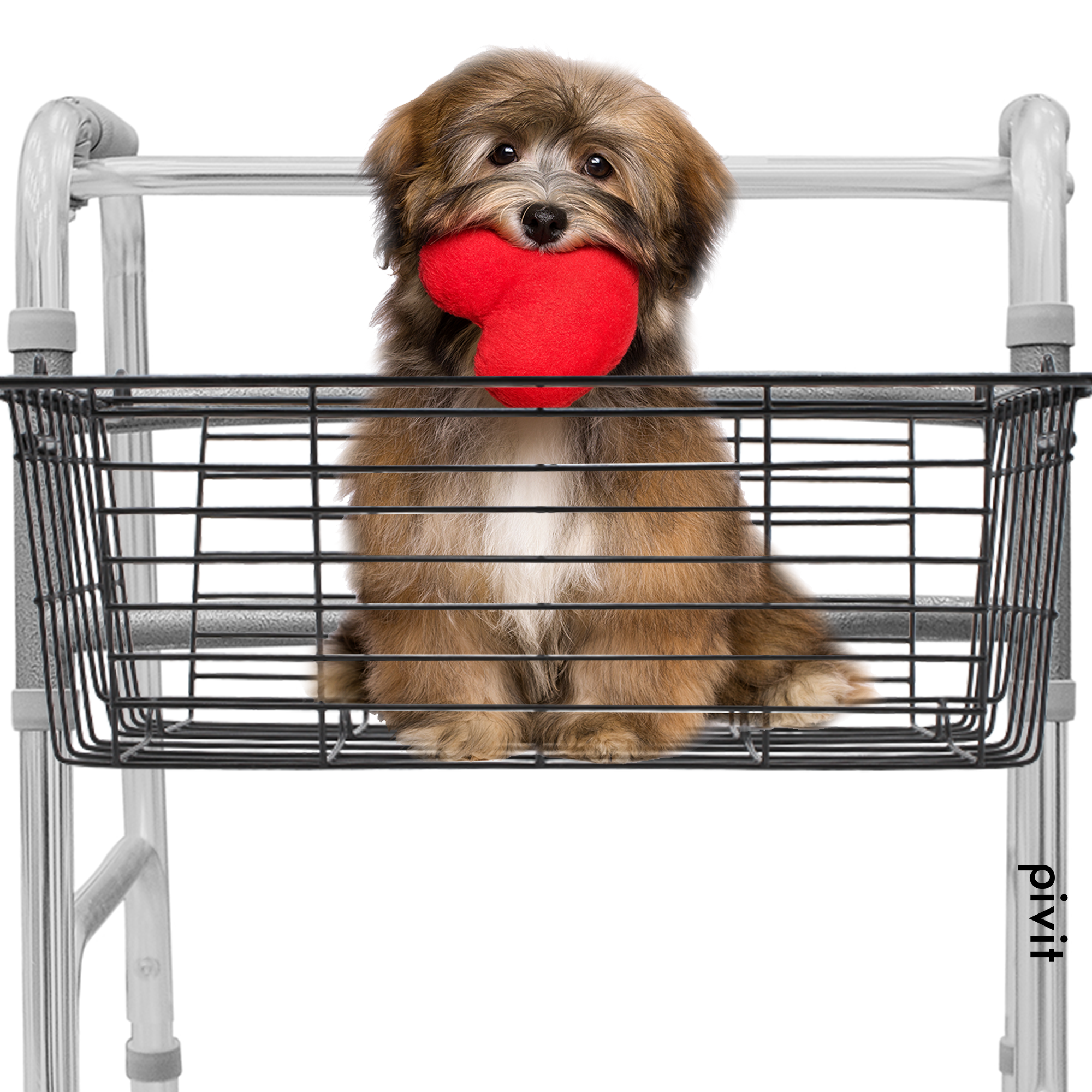 Pivit Universal SnapOn Rolling Rollator Basket Keep Your Hands Free