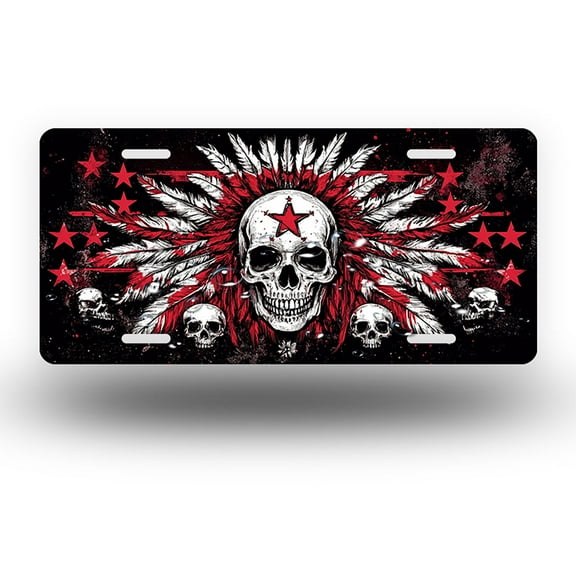 Star adorned Skull in Headdress Front License Plate, Funny Standard Plates Personalized Novelty Decorative For Men/Women/Boys/Girls Car 6×12 Inch