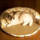 thumbnail image 5 of Colchoneta de cama elegante para perros, colchón de ratán para gatos para todas las estaciones, colchoneta para perros pequeños a extragrandes, sofá para perros, suministros para mascotas, 5 of 6