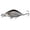 D, variant on Deep Diver Freshwater Bass Fishing Lures,Jerkbait Suspending Fishing Lure for Bass & Walleye Fish,Sinking Rock Minnow Crankbait Fishing Lure,C