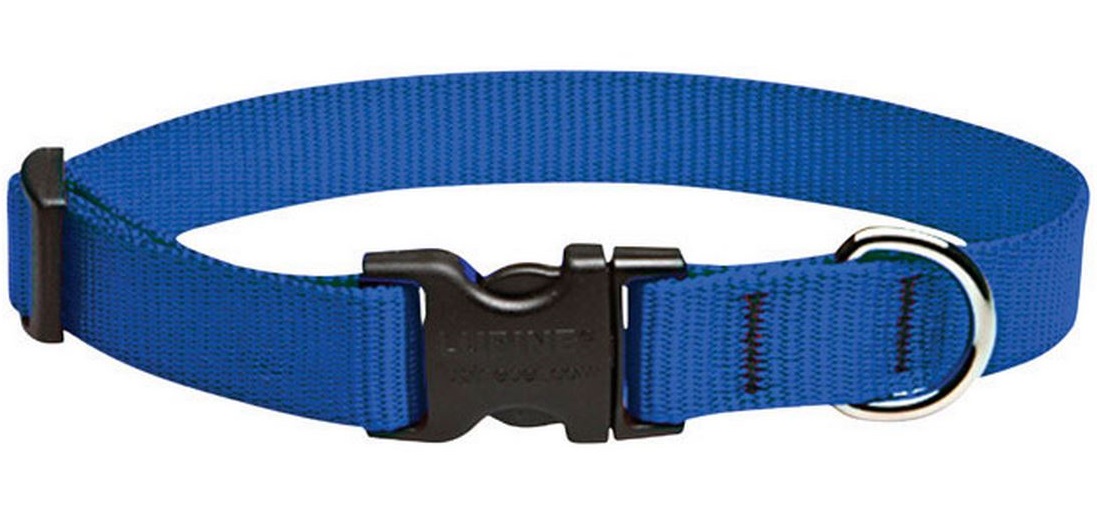 lupine collars petco
