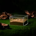 thumbnail image 4 of IFANLANDOR 1Pcs Square Reptile Habitat Box Transparent Case for Spider Breeding, 4 of 8