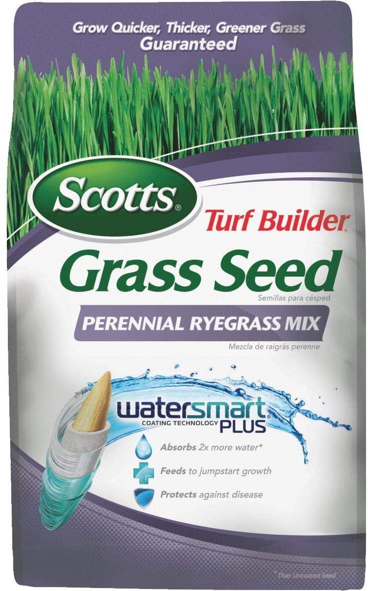 Turf Builder Perennial Ryegrass Mix