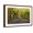 Brown Frame, variant on Art.com Central Park. Image of the Mall Area in Central Park, New York City, USA at Autumn. Photographic Print by Rudy Balasko, 18" x 12"