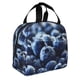 thumbnail image 2 of Easygdp Blueberry Bolsa Térmica Premium - Tela Oxford Impermeable, Gran Capacidad, Bolsillo Frontal, Unisex para Trabajo, Escuela, Actividades al Aire Libre y Picnics, 2 of 8