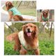 thumbnail image 4 of Camiseta fresca para perros Chaleco de verano para perros Chaleco sin mangas transpirable para perros, 4 of 8