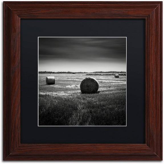 Trademark Fine Art "Rural" Canvas Art by Dave MacVicar, Black Matte, Wood Frame