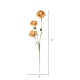 thumbnail image 2 of Vickerman 24" Artificial Mustard Mum Spray. Includes 4 sprays per pack., 2 of 3