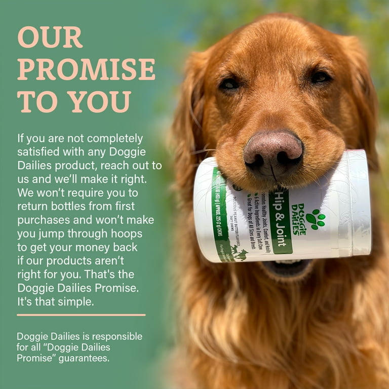 Doggie dailies joint supplement 2025