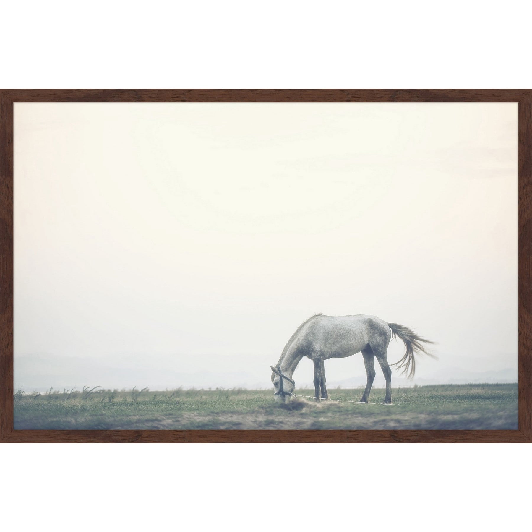 Marmont Hill "Lone Horse Grazing" Framed Painting Print