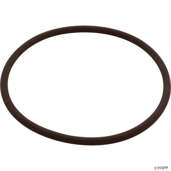 O-Ring, Powerclean Ultra Chlorinator Cover (Bulk)