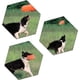 thumbnail image 5 of Naranja + Rojo - 2 piezas de frisbee para perros, juguete de frisbee para perros, de goma resistente, ideal para actividades físicas y juegos al aire libre (diámetro de 17,8 cm)., 5 of 5