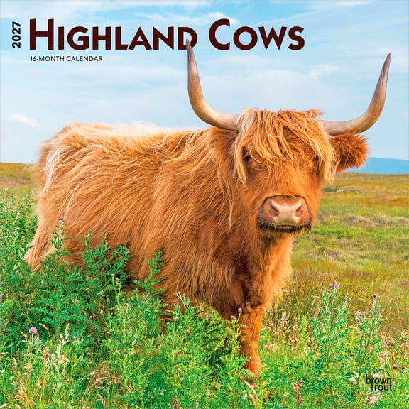 Highland Cows | 2027 12x24" (Hanging) Wall Calendar | Plastic-Free