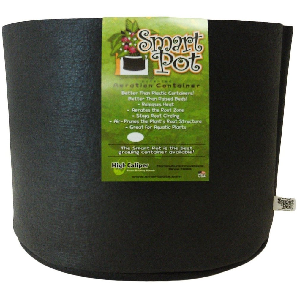 Smart Pot 10 Gallon 1 pack