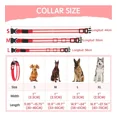thumbnail image 2 of Collar,correa P,perro Con Luz Led Seguridad Paseo Nocturno Color Negro Tamaño del collar M, 2 of 8