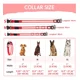 thumbnail image 2 of Collar,correa P,perro Con Luz Led Seguridad Paseo Nocturno Color Negro Tamaño del collar M, 2 of 8