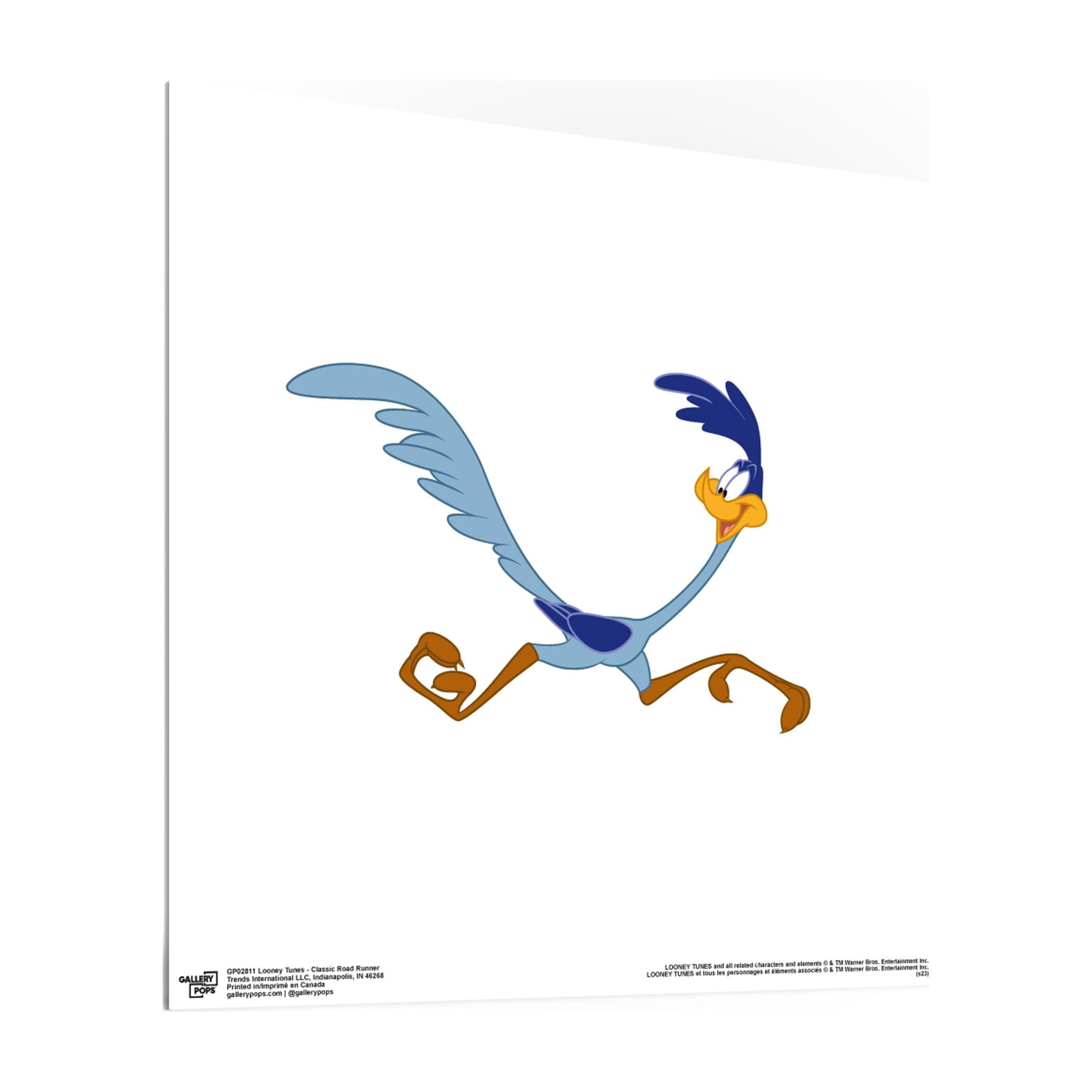 Gallery Pops Looney Tunes - Classic Road Runner Wall Art, Unframed