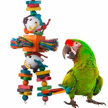 Super Bird Creations SB514 Willy Nilly Bird Toy XL - Enriching Parakeet Toys for Large Birds, Bird Foraging Toys, Bird Toys for Parrots, Parrot Toys for Large Birds, Large/XL Bird Size, 29" x 11"