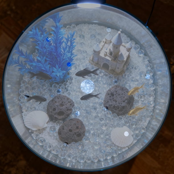 IFANLANDOR De Acrílico Para Redondo De Peces Con Ajuste Perfecto Y Limpieza Sencilla