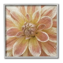 Stupell Industries Blooming Petals Close Up Botanical & Floral Painting Gray Framed Art Print Wall Art, 24 x 24