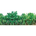 thumbnail image 1 of 50x70CM Cactus Patterns Green Wall Stickers for PVC wall decal Corridor PVC Material Ornamental TV Background Wall Decals, 1 of 5