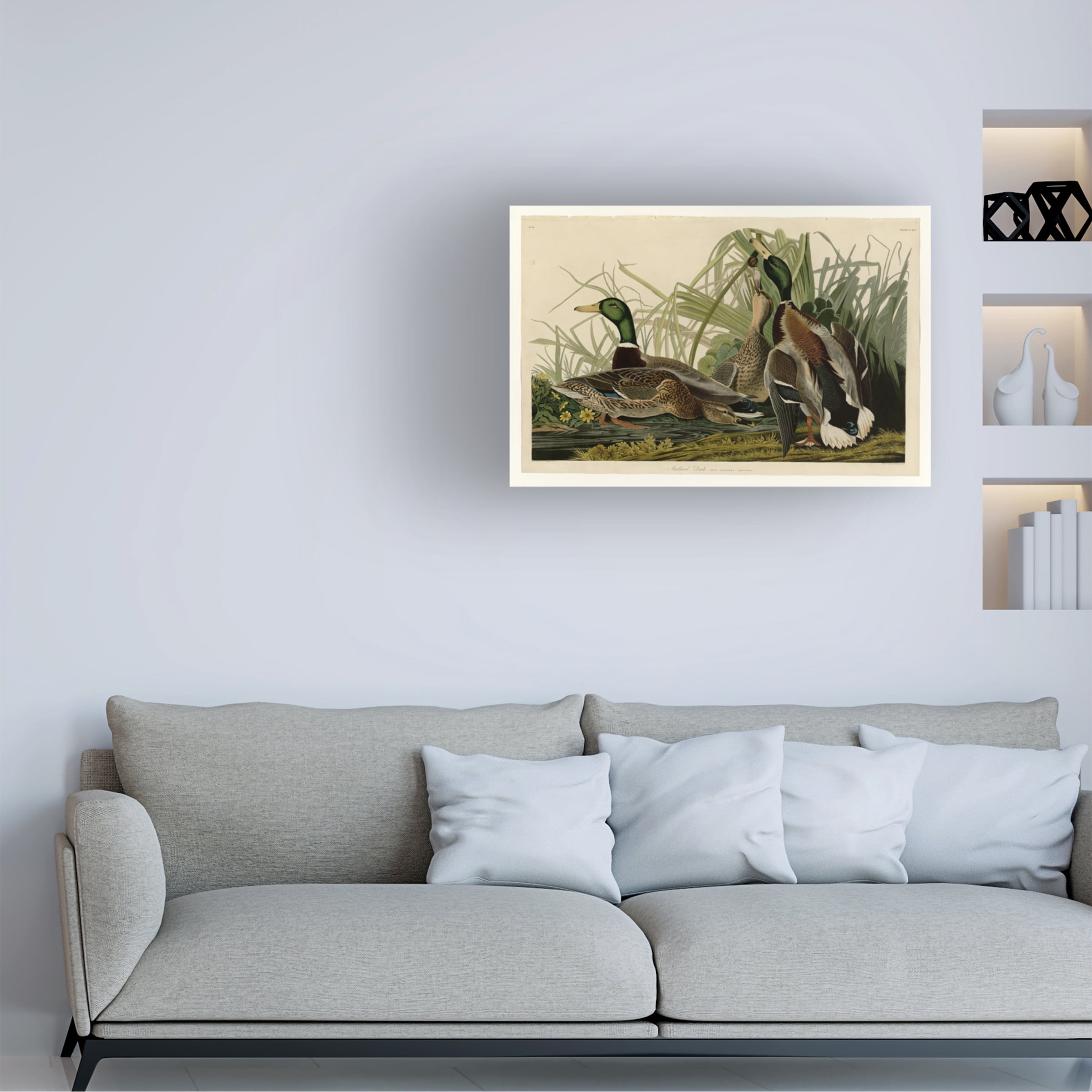 Audubon 'Mallard Duckplate 221' Canvas Art