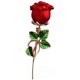 thumbnail image 1 of Red Rose Flowers Brooches Pins Drip Oil Brooch Classic for Party Dance Wedding Banquet for Elegant Women Beautiful Girls Lapel, 1 of 5