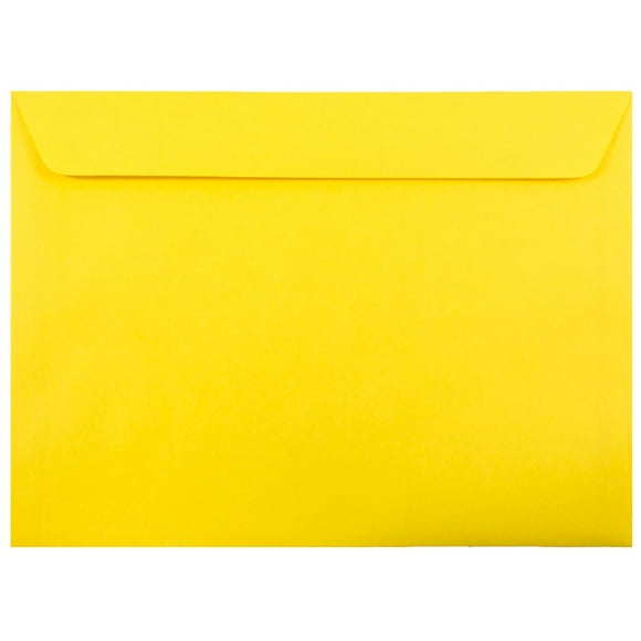 12 X 9 Envelopes