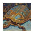 thumbnail image 4 of Box Turtle Expressionism - Canvas, 4 of 25