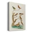 thumbnail image 2 of Antique Birds in Nature III Premium Gallery Wrapped Canvas - Ready to Hang, 2 of 9