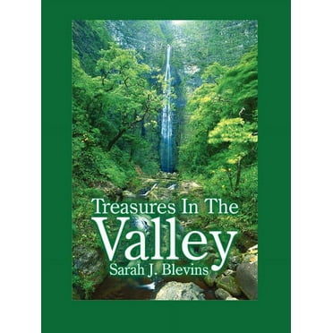 Treasures in the Valley (Paperback)