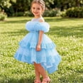 thumbnail image 7 of Flower Girls Dress Tulle Spaghetti Strap Pearl Belt Ruffle Hem Xmas Party Formal Sky Blue 6-9Months, 7 of 7