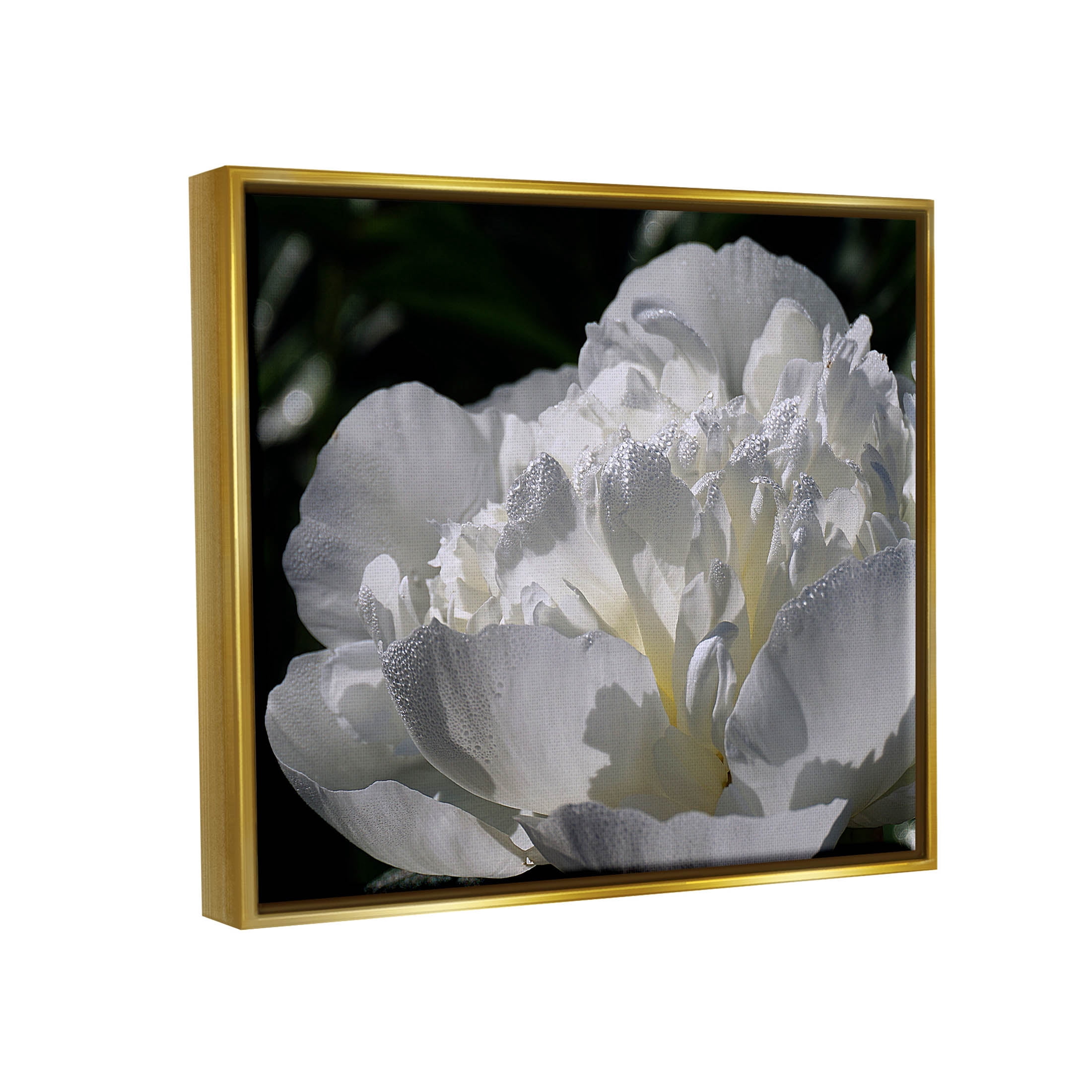 Blooming White Petals Photography Botanical & Floral Photograph Metallic Gold Framed Art Print Wall Art