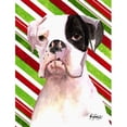 thumbnail image 1 of Carolines Treasures RDR3002GF Cooper Candy Stripe Boxer Christmas Flag Garden Size, 1 of 3