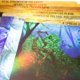 thumbnail image 4 of Accesorio para juegos de mesa Greater Than Games Spirit Island, 4 of 6