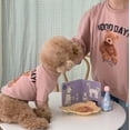 thumbnail image 2 of Otoño e invierno, osito de peluche cálido de seda de leche, lindo perro, gato, mascota, oso amargo, ropa, suministros para padres e hijos, 2 of 5