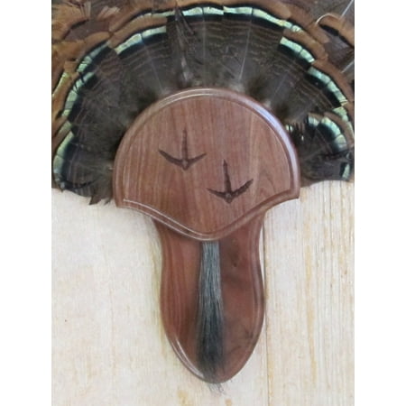 Fan Mount Kit - The Taxidermists' Woodshop Walnut Turkey Fan Mounting Kit 02 with Carved Tracks
