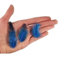 thumbnail image 4 of Rawiri Netuno 150 Stück Orange Deko Federn 6g Perlhuhn Federn Gepunktete Federn Schmuckfedern Vogelfedern Bastelfedern Natur für DIY Basteln Dekoration Ostern Weihnachten Dekofigur, 4 of 7