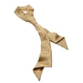 thumbnail image 1 of EDWARDS GIRL's HERRINGBONE NECKERCHIEF, 1 of 1