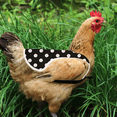thumbnail image 5 of Delantal de silla de gallina, protector de plumas, protector de espalda, delantal de silla de pollo, 5 of 5