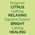 thumbnail image 4 of Plant Therapy Bergamot Essential Oil 100% Pure, Undiluted, Natural Aromatherapy 30 mL (1 oz), 4 of 8