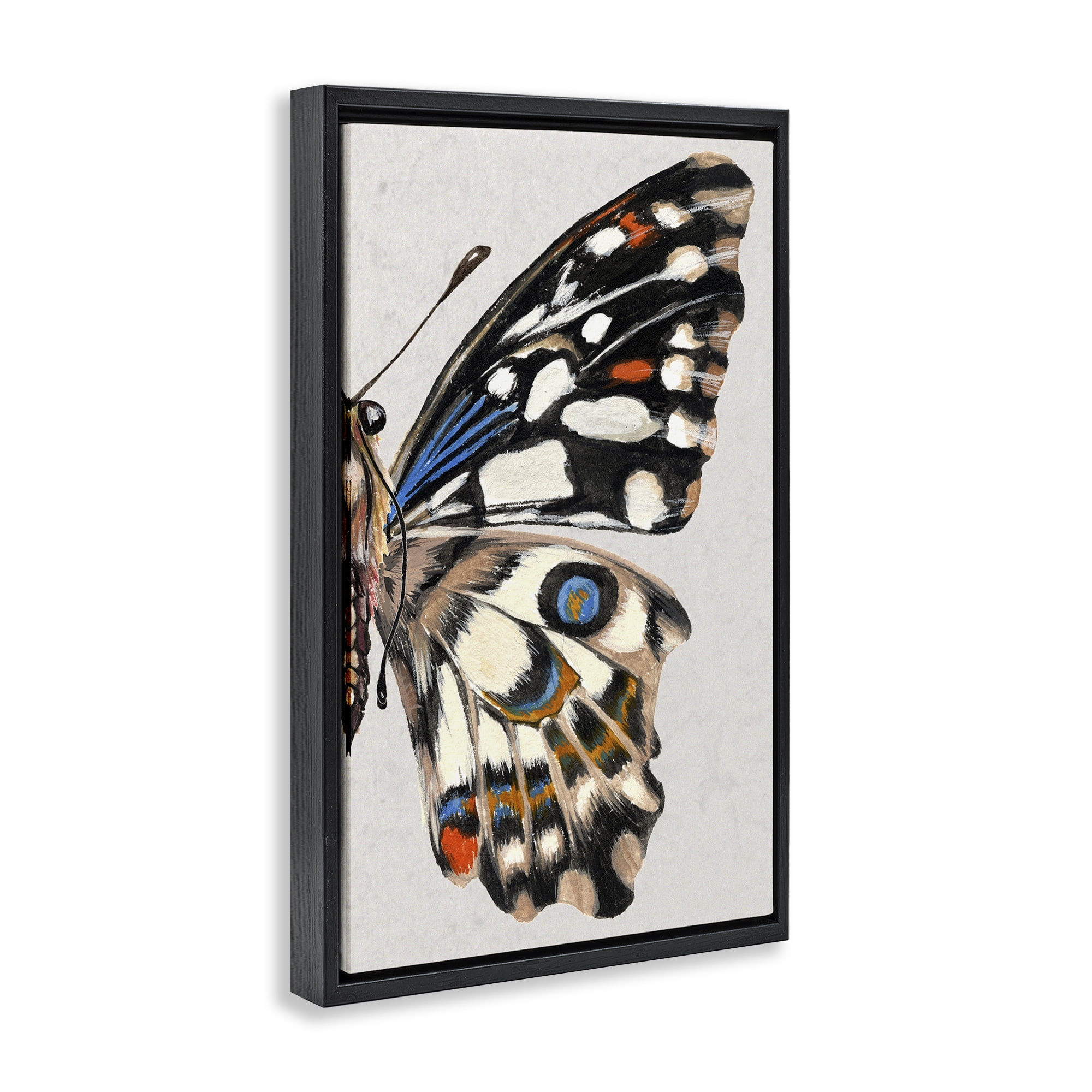 Stupell Industries Butterfly Wing with Spots Animals & Insects Painting Black Floater Framed Canvas Art Print Wall Art, 21 x 31