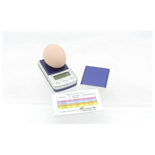 Egg Scale for sale