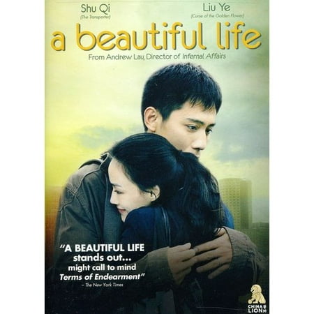 A Beautiful Life (Chinese)