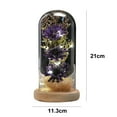 thumbnail image 2 of Laklulu Un regalo navideño para familiares y amigos femeninos: girasol artificial con cúpula de cristal y tira de LED, 2 of 5