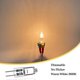 thumbnail image 2 of G4 Halogen Bulbs, 12V 20W Halogen Pin Base Lamp, 350LM, Dimmable, Clear Capsule Lamp, Pack of 10, 2 of 3